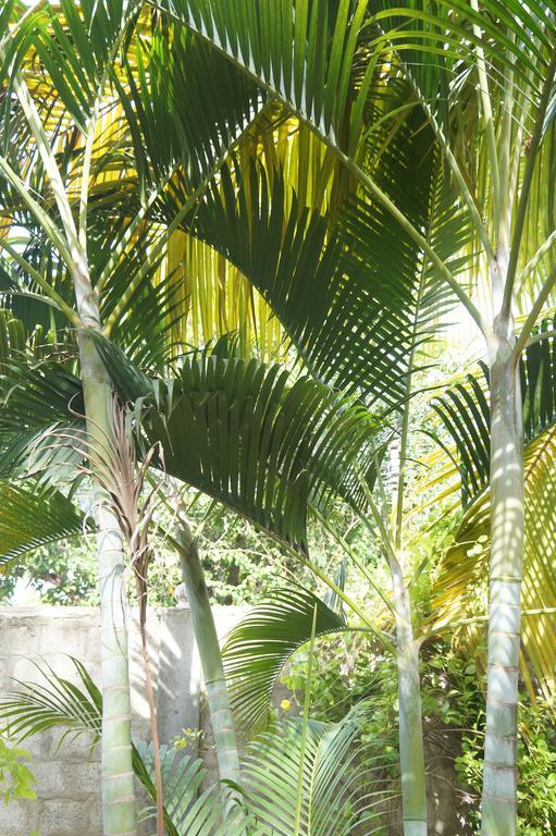Hotel Little White House Trincomalee Exterior foto